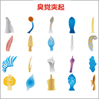 �E�~�E�V�̐��ԊwNudibranch Ecology