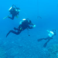 �G�N�X�v���[���[