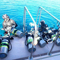 �T�C�h�}�E���g