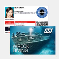 ���b�N�_�C�r���O