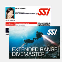 �G�N�X�e���f�b�h�E�_�C�u�}�X�^�[