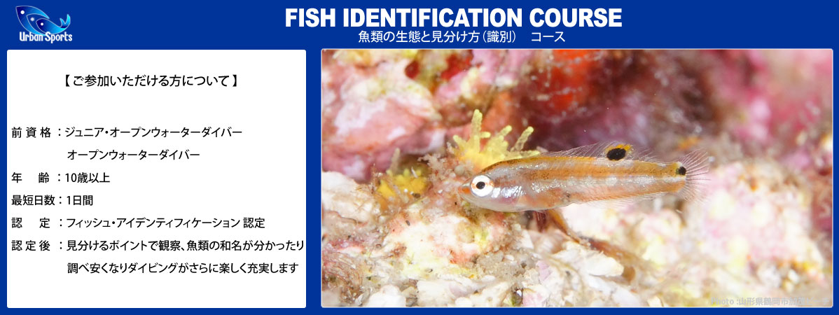 魚類の生態と見分け方