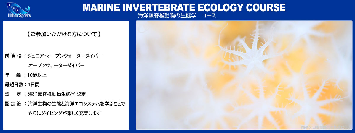 海洋無脊椎動物生態学コース