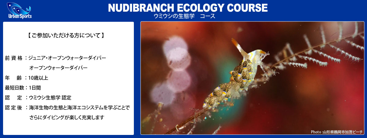 �E�~�E�V���Ԋw�R�[�X