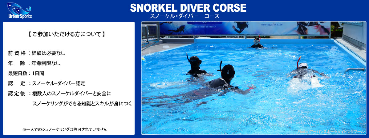 スノーケルダイバーコース