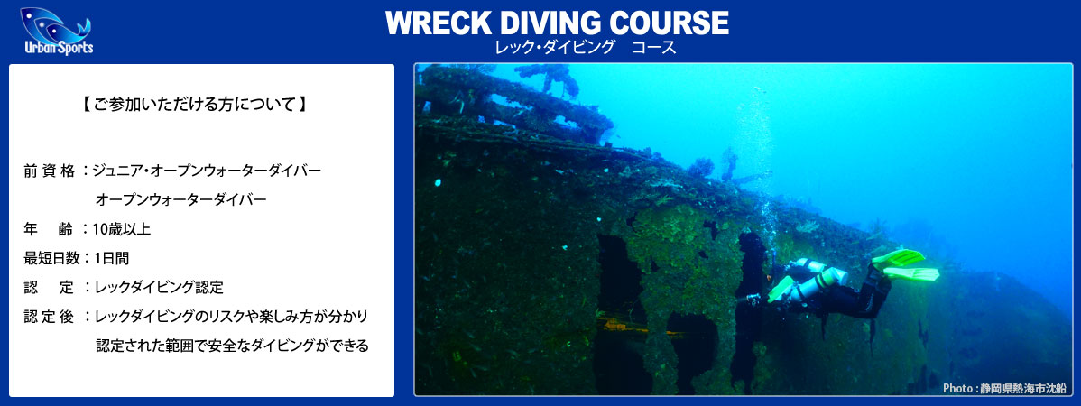 ���b�N�_�C�r���O