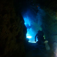 カバーン&セノーテダイビング