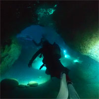 カバーン&セノーテダイビング