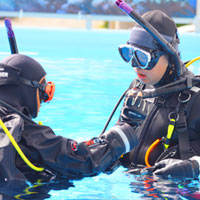 ダイブマスターコース