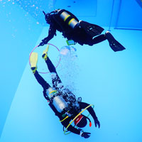 �p�[�t�F�N�g�{�C�����V�[