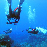 リクリエーショナル・サイドマウント