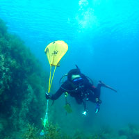 サーチ&リカバリー