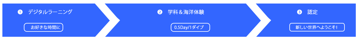 �g���C�_�C�o�[�R�[�X