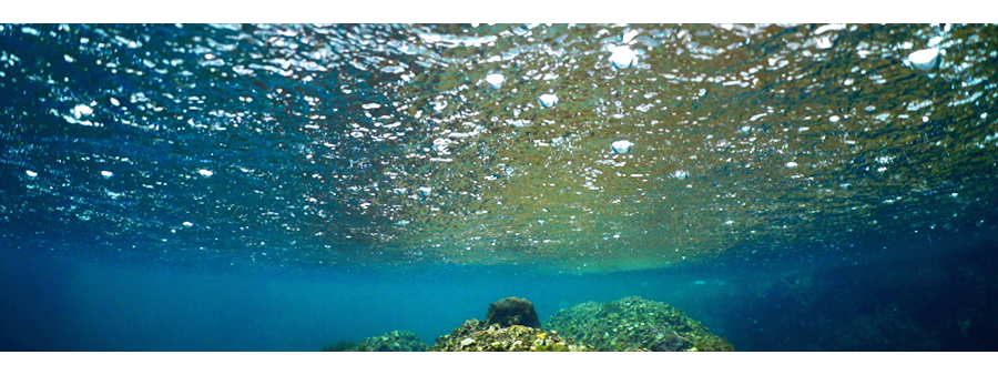 雨のダイビング